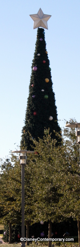 Contemporary Outdoor Tree